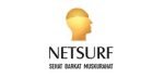 netsure-logo